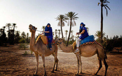 Camel Trekking in Agafay Marrakech: Moroccan Experience