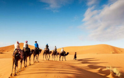 Desert Tour 4 Days from Casablanca to Zagora