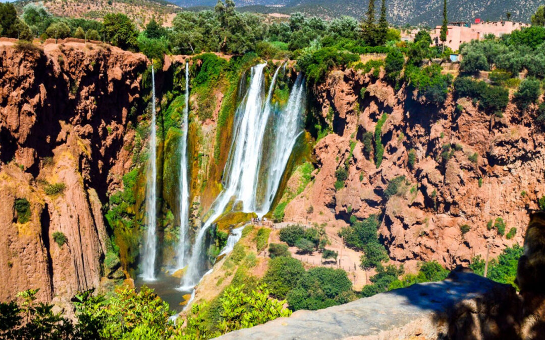 Ouzoud Waterfalls Day Trip from Marrakech